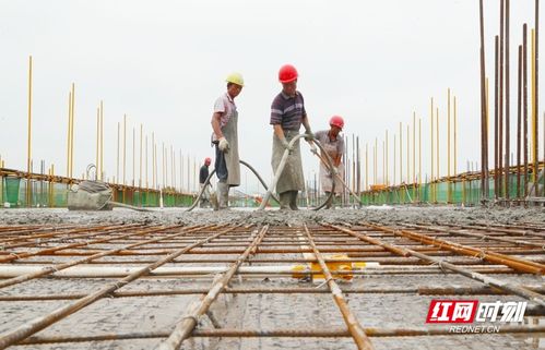 湖南新田 重點(diǎn)校園建設(shè)項(xiàng)目加速推進(jìn) 組圖